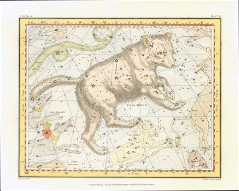 Ursa Major facing right